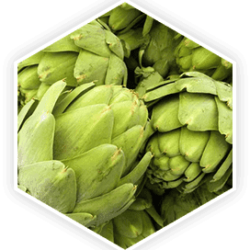 Artichoke Extract ProstaVive