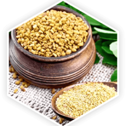 Fenugreek ProstaVive