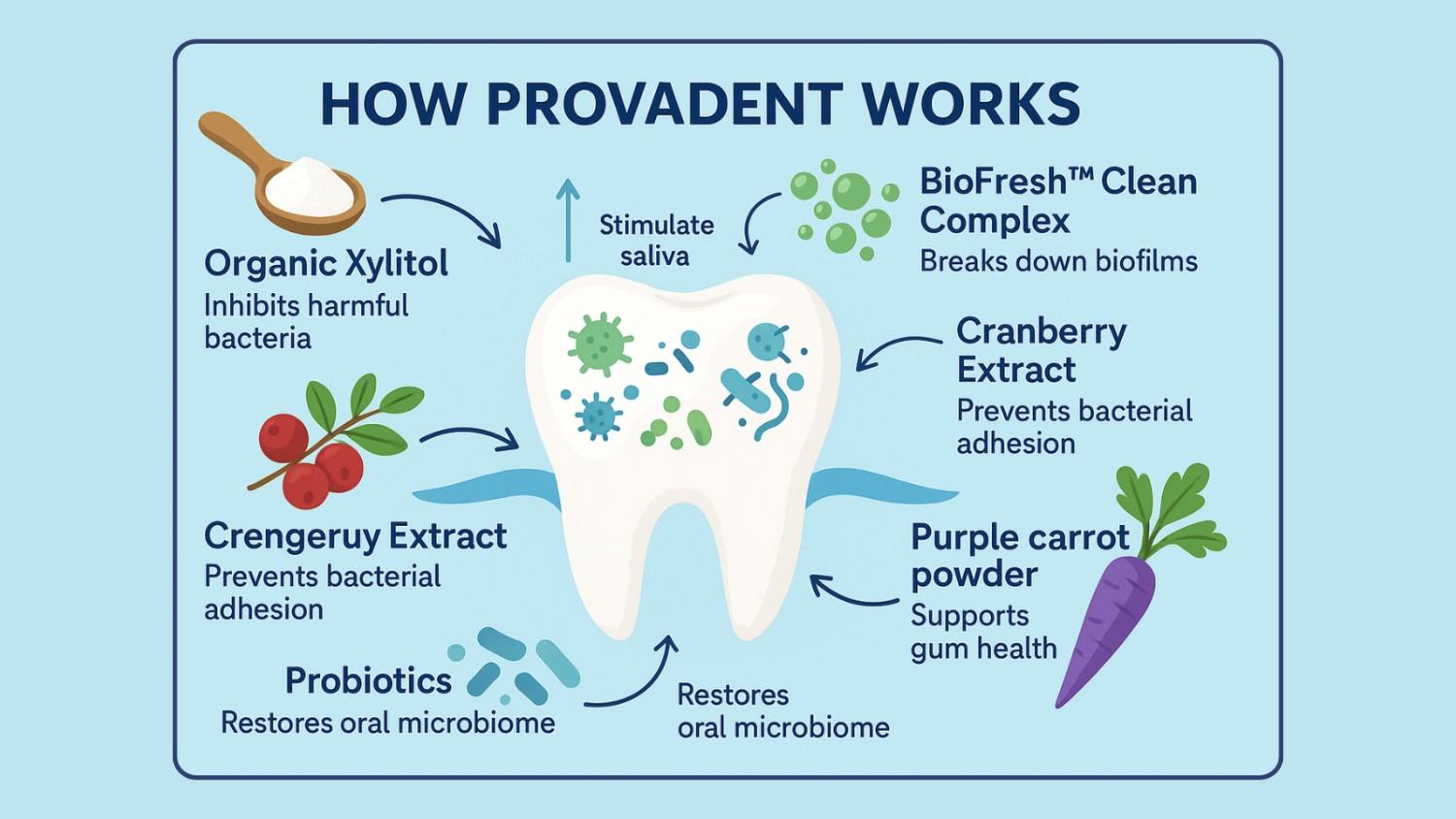 Illustration shows how Provadent supplement works, highlighting key ingredients like probiotics, zinc, and herbal extracts.