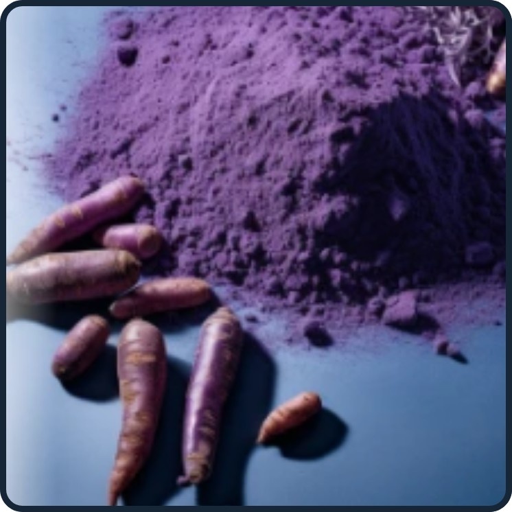 Image of sliced purple carrots, the source of antioxidant-rich purple carrot powder.