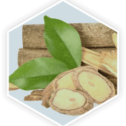 Tongkat Ali ProstaVive