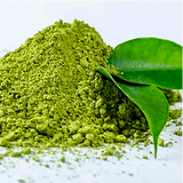 java burn ingredients: L-Theanine