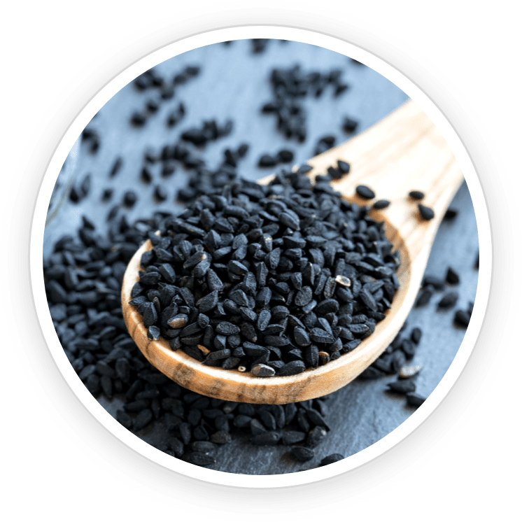 Babchi herb for skin healing and hyperpigmentation—promotes cell regeneration, even skin tone, and collagen production.