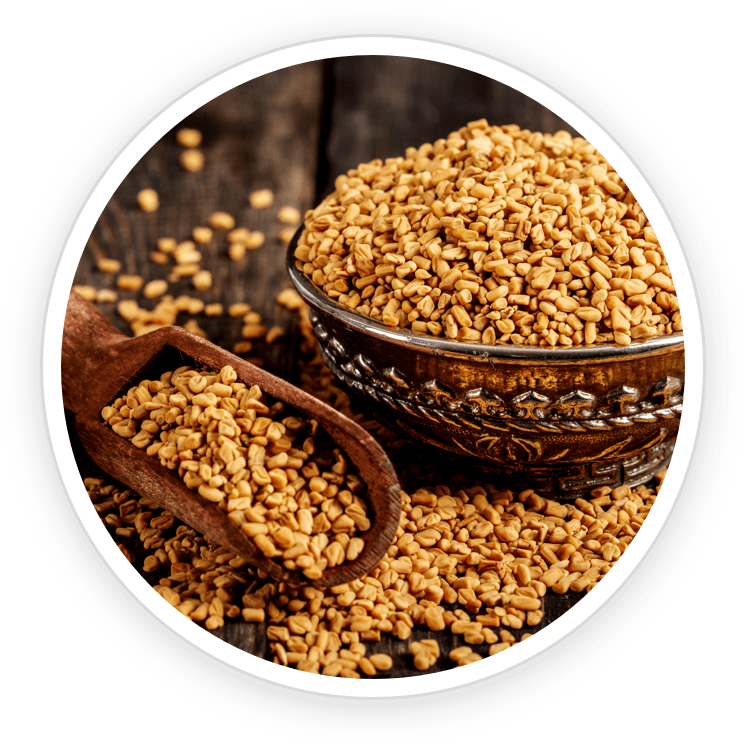 Fenugreek for digestion and anti-inflammatory skin benefits—soothes bloating, hydrates skin, and supports gut health.
