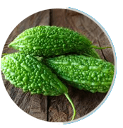 Gluco Extend Ingredients : Mormordica charantia