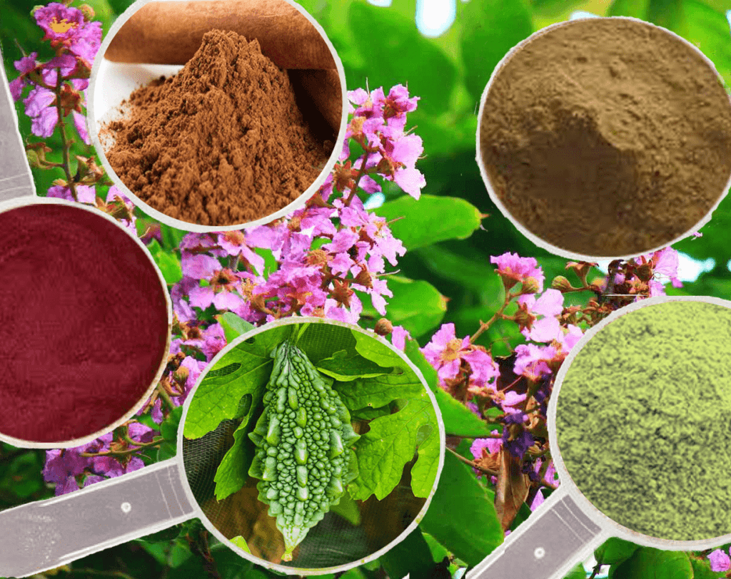 Key ingredients in Gluco Extend, including Bitter Melon, Cinnamon Bark, Gymnema Sylvestre, and Banaba Leaf, for natural blood sugar support.