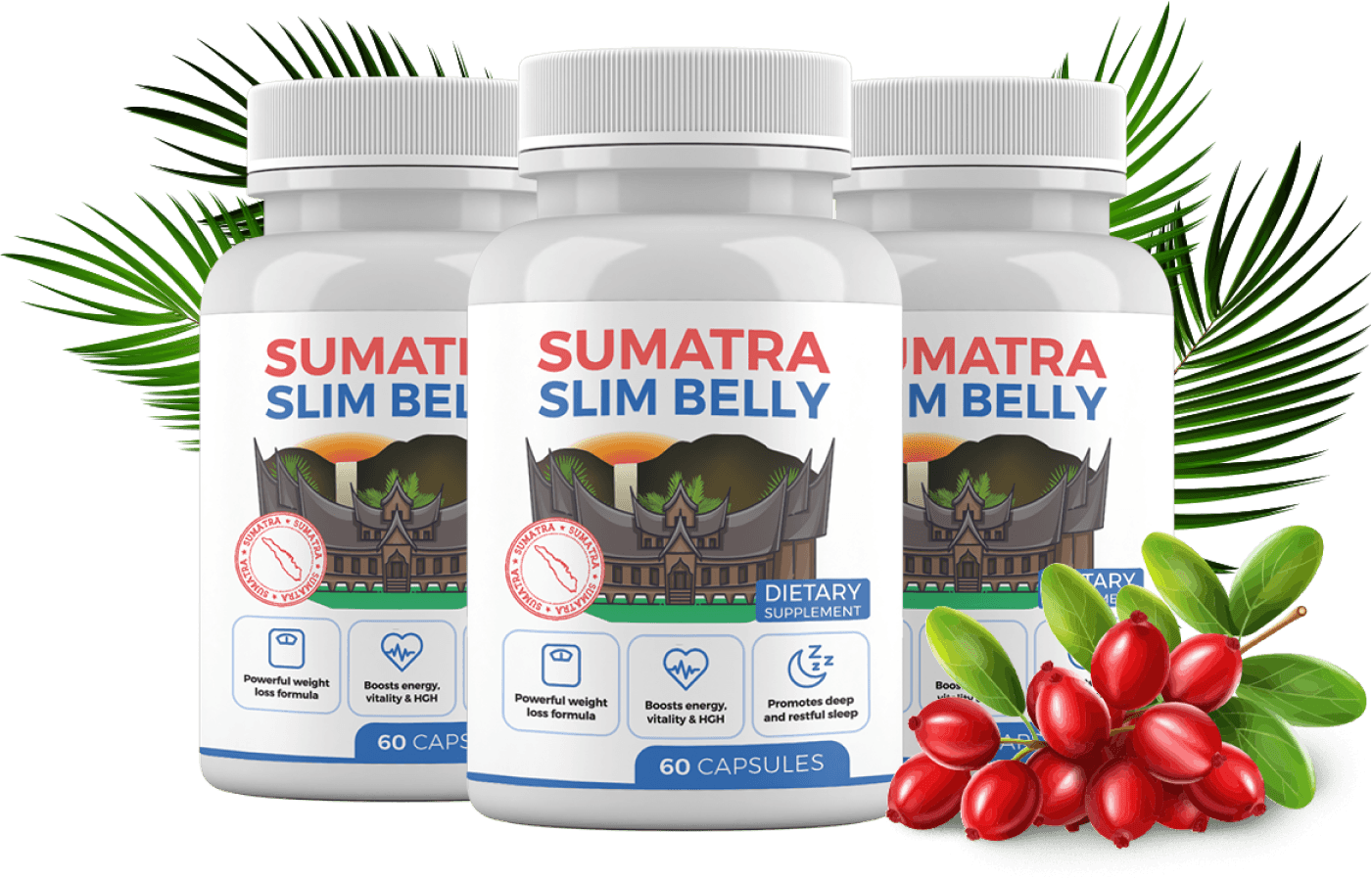 Sumatra Slim Belly Tonic bottles showcasing the natural supplement designed to promote weight loss through better sleep.