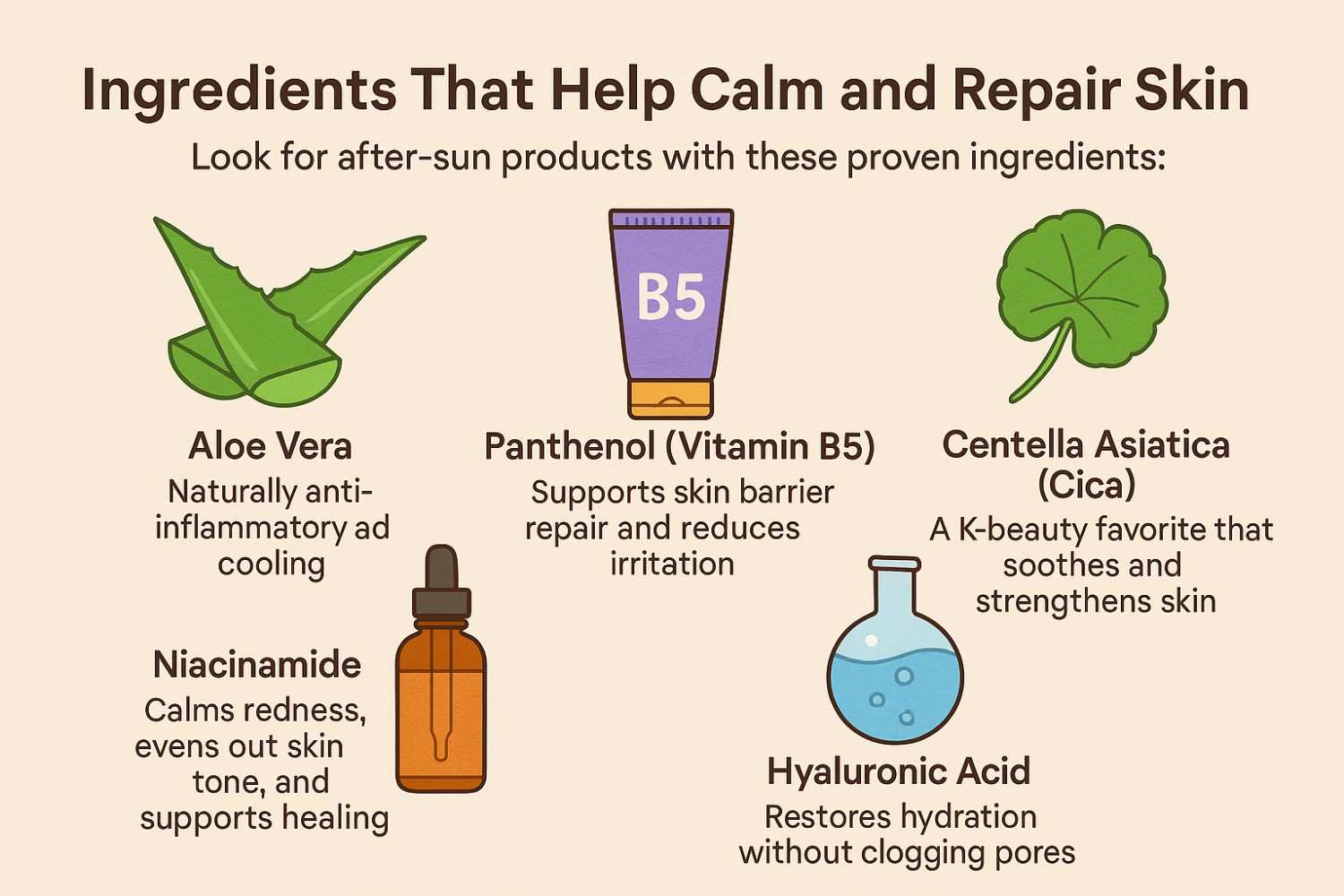 Illustrated guide of five soothing after sun skincare ingredients including Aloe Vera, Panthenol, Centella Asiatica, Niacinamide, and Hyaluronic Acid
